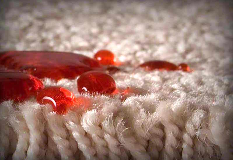 Protect Your Carpet From Stains with Stain Resistant Carpet