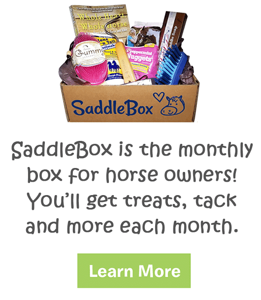 Peppermint Horse Treat Recipe Homemade Peppermint Muffins