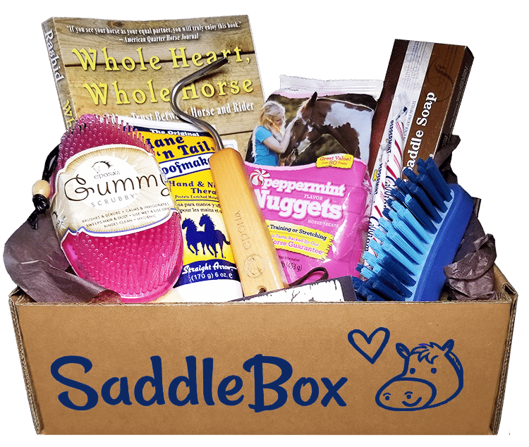 Horse Treat Recipes How to Make Gourmet Homemade Treats!