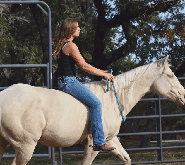 Bridleless Riding How to Ride a Horse Without a Bridle