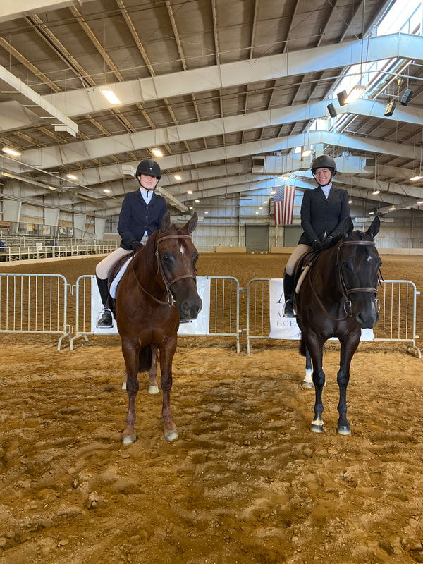 Saddlebrook Equestrian Park Ocala Fl at Charles Olsen blog