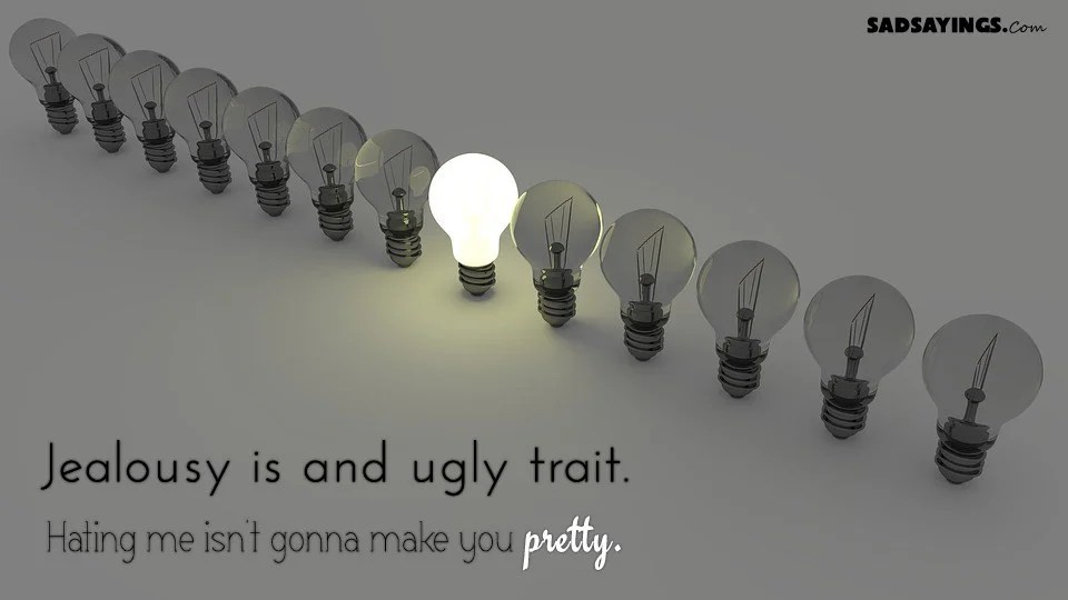 Jealousy is and ugly trait. Hating me isn’t gonna make you pretty