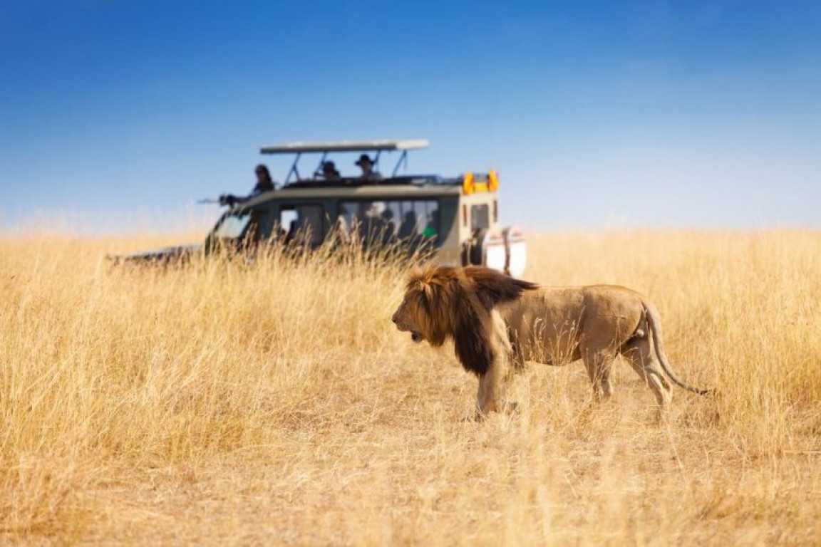 Tanzania Safari Prices Make Safari Tours Affordable And Budget Friendly
