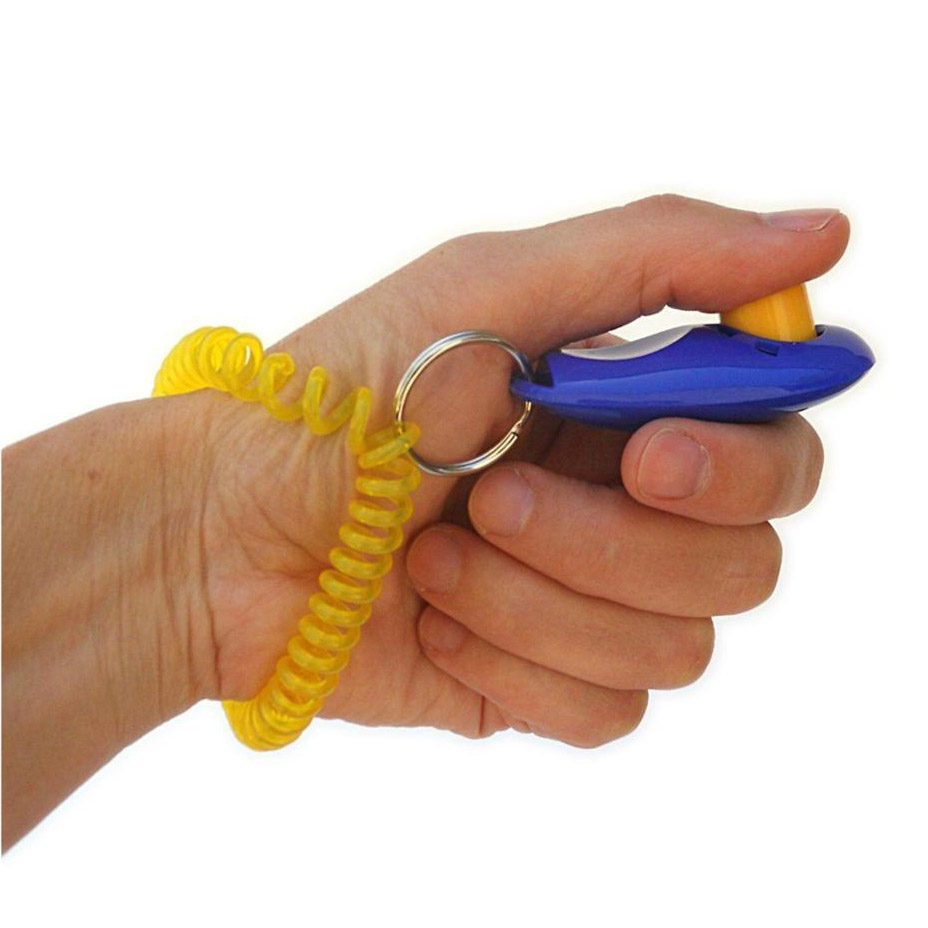 Training Clicker Safe Dogs