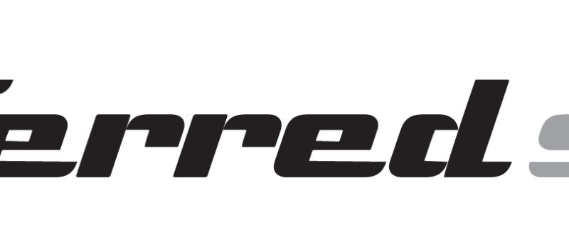 Preferred Sands logo The Safegard Group, Inc.The Safegard Group, Inc.