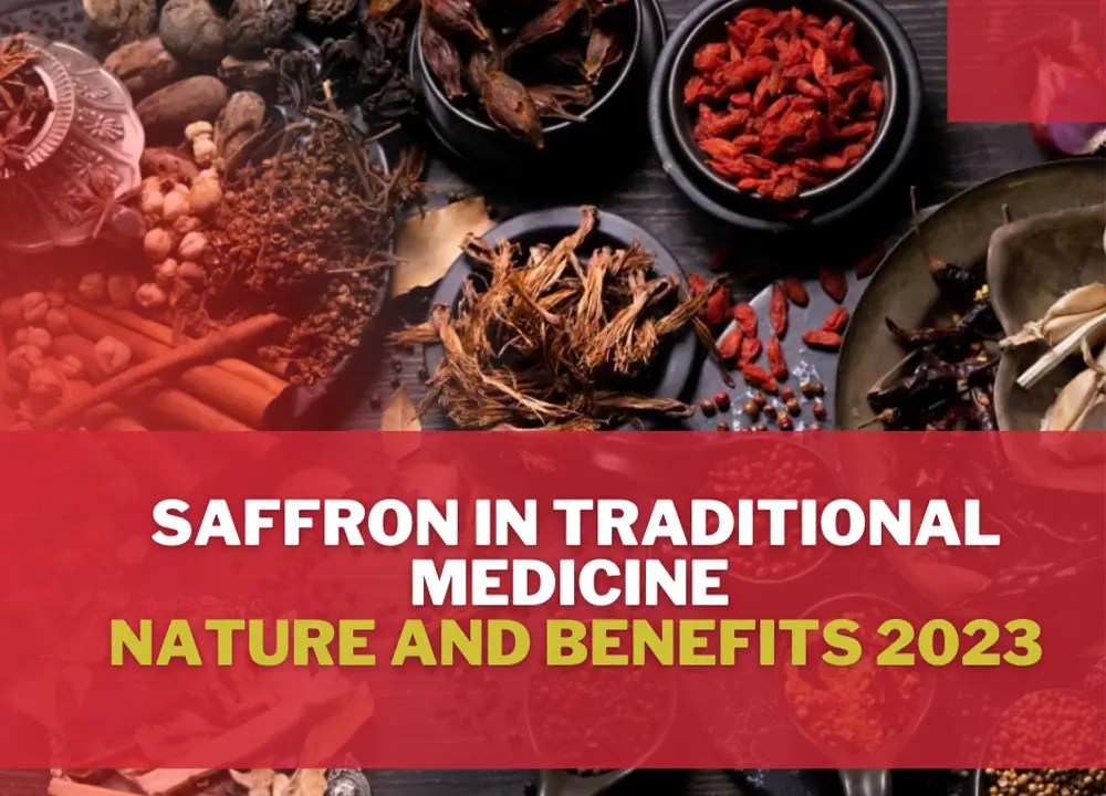 Saffron in Traditional Medicine [Nature and Benefits 2023] Saffron Uses