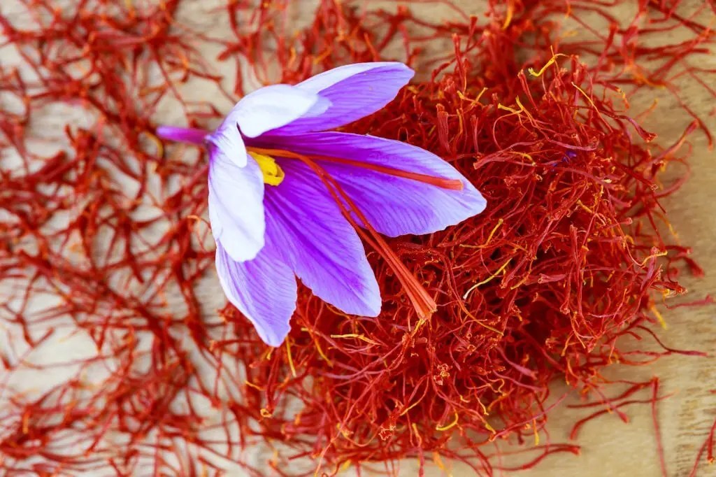 Maximizing Profits with Saffron Market Forecast 2023 Saffron Uses