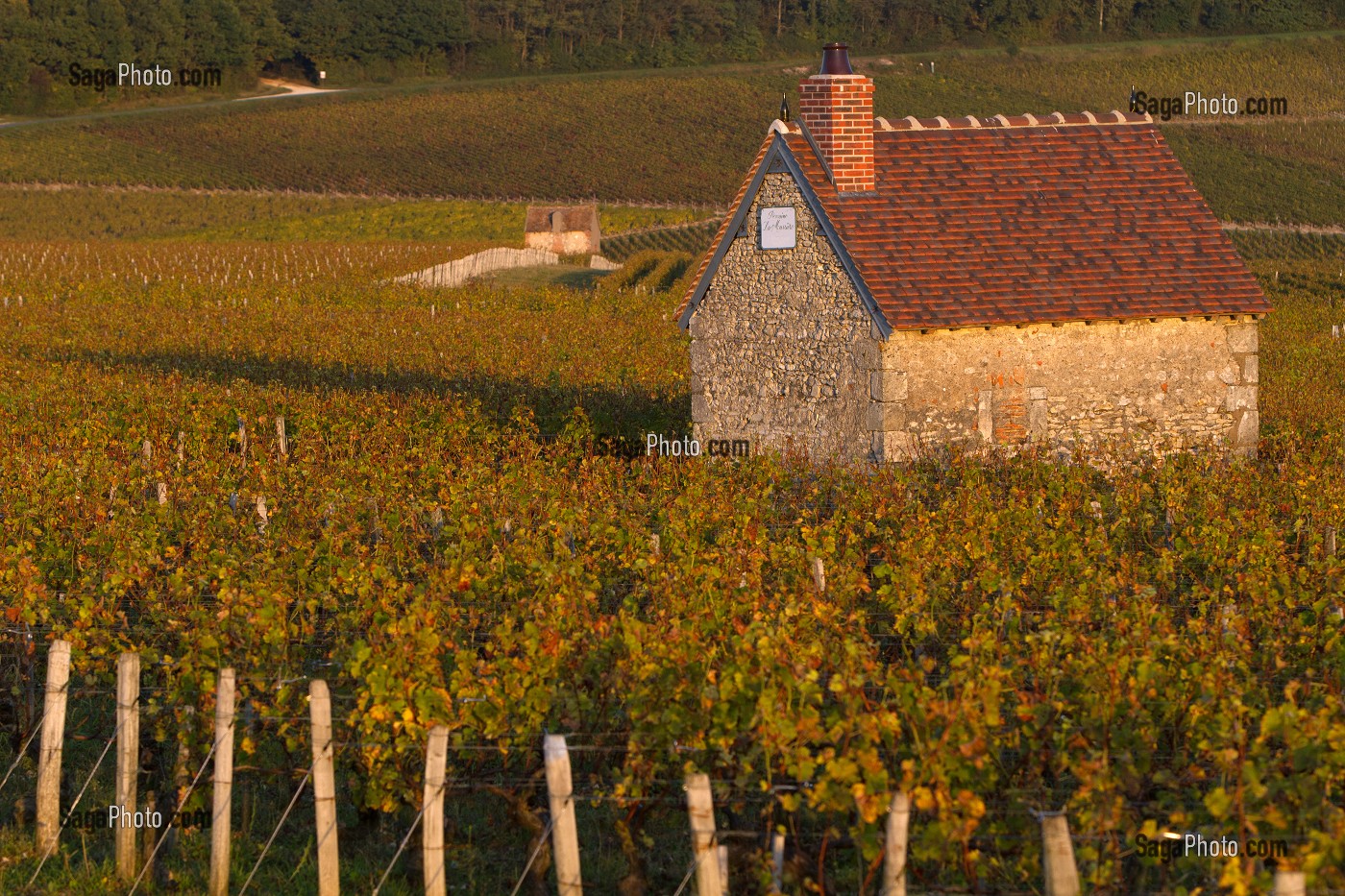 photo de CABANES DE VIGNERON DANS LES VIGNES AUX COULEURS D'AUTOMNE
