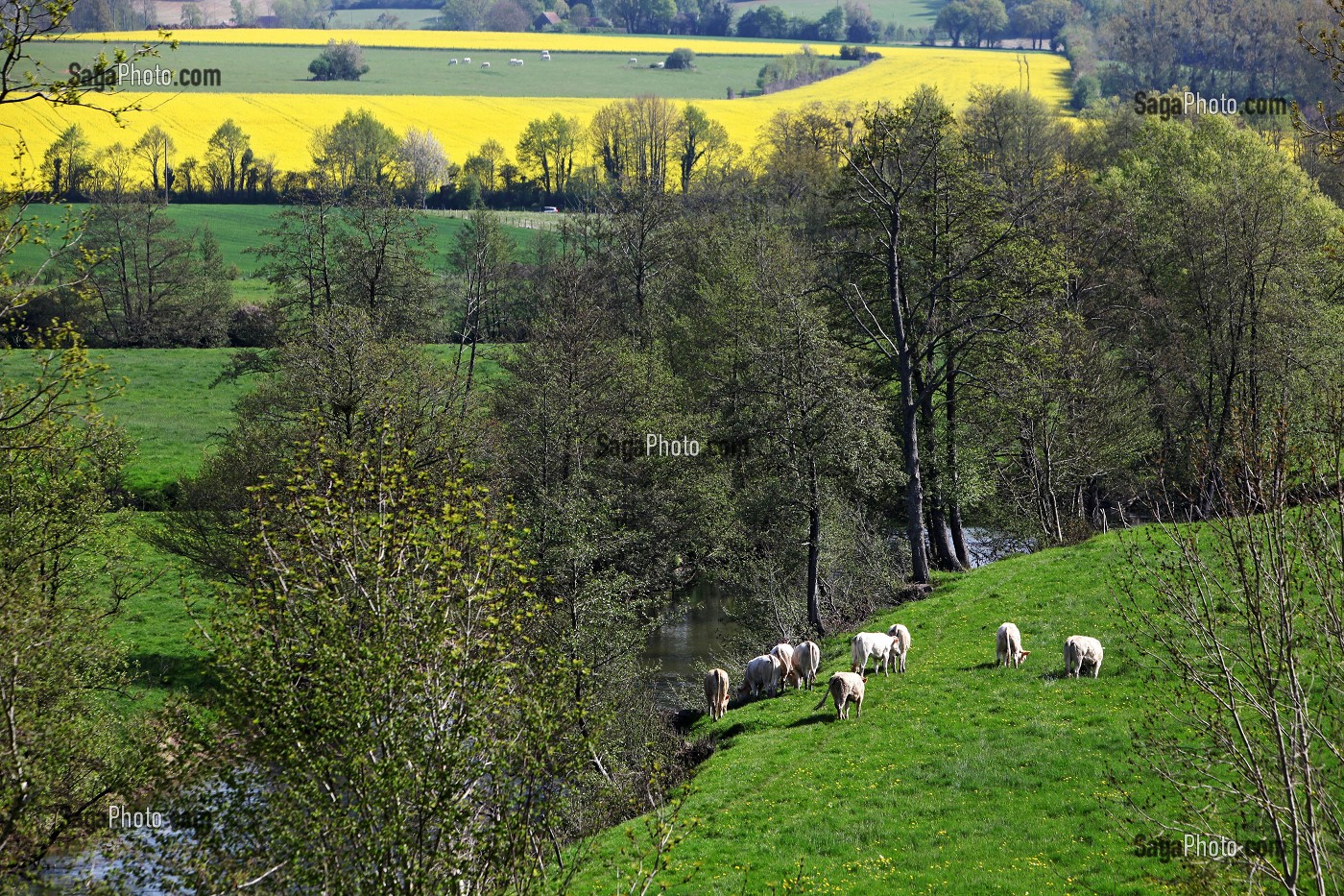photo de VUE DU BOCAGE DE LA VOIE VERTE ALENCON CONDESURHUISNE