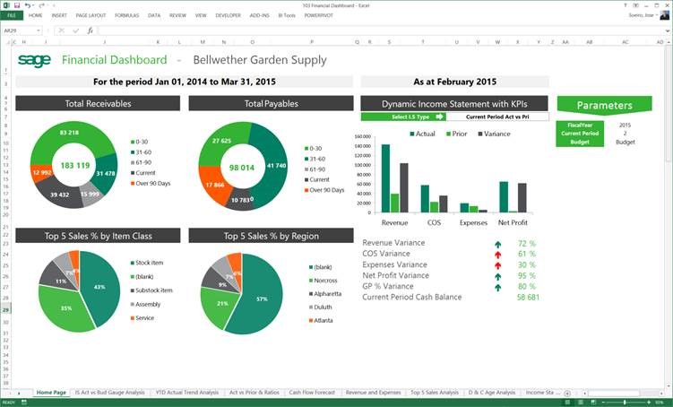 New BI reporting features in Sage Pastel and Sage Evolution