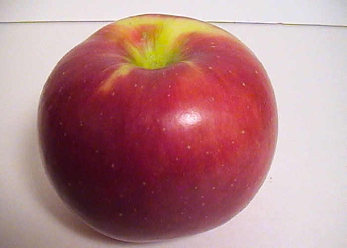 Apple Varieties found at Sage's Apples