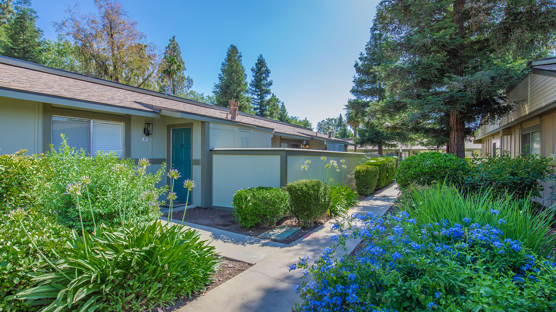 Sage Stone Standard in Clovis, CA