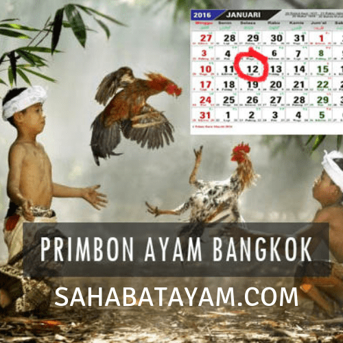 Primbon Jawa Jamu Ayam Aduan Serat Jawi