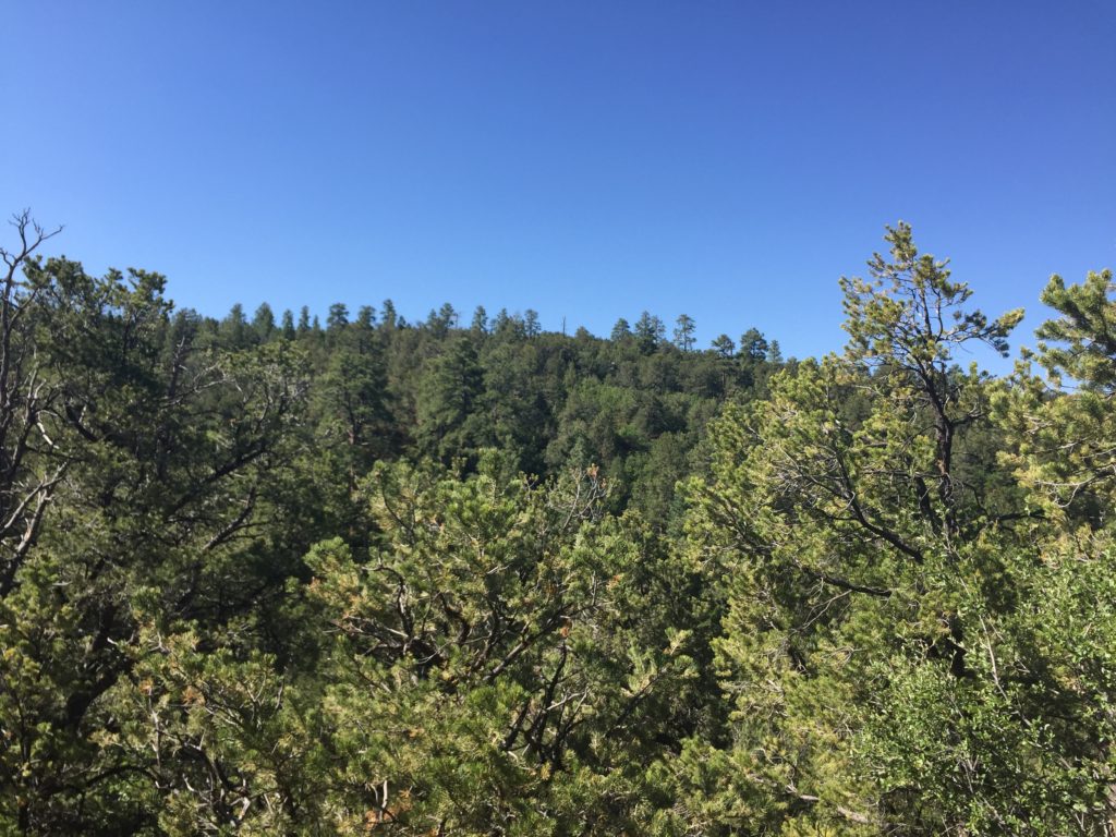 off grid anniversary happy sahaliversary