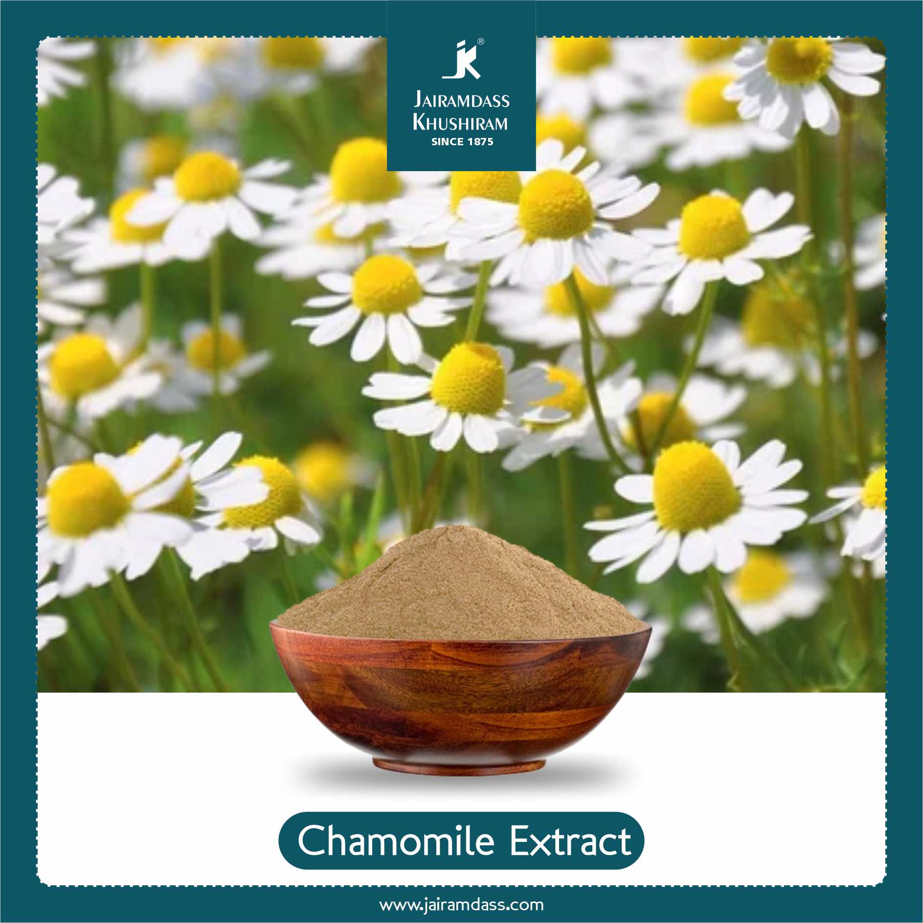 Manufacturer of Chamomile Extract Matricaria Chamomilla Extract SA