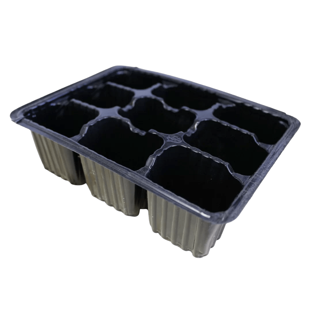 Seedling Trays (6/8 Cavities) SA Horticultural