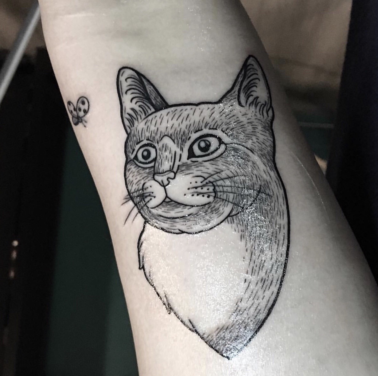 Tatuaggio Gatto Milano - Tatuaggi Milano - Sailors Tattoo Milano 1224_x_1231_jpg