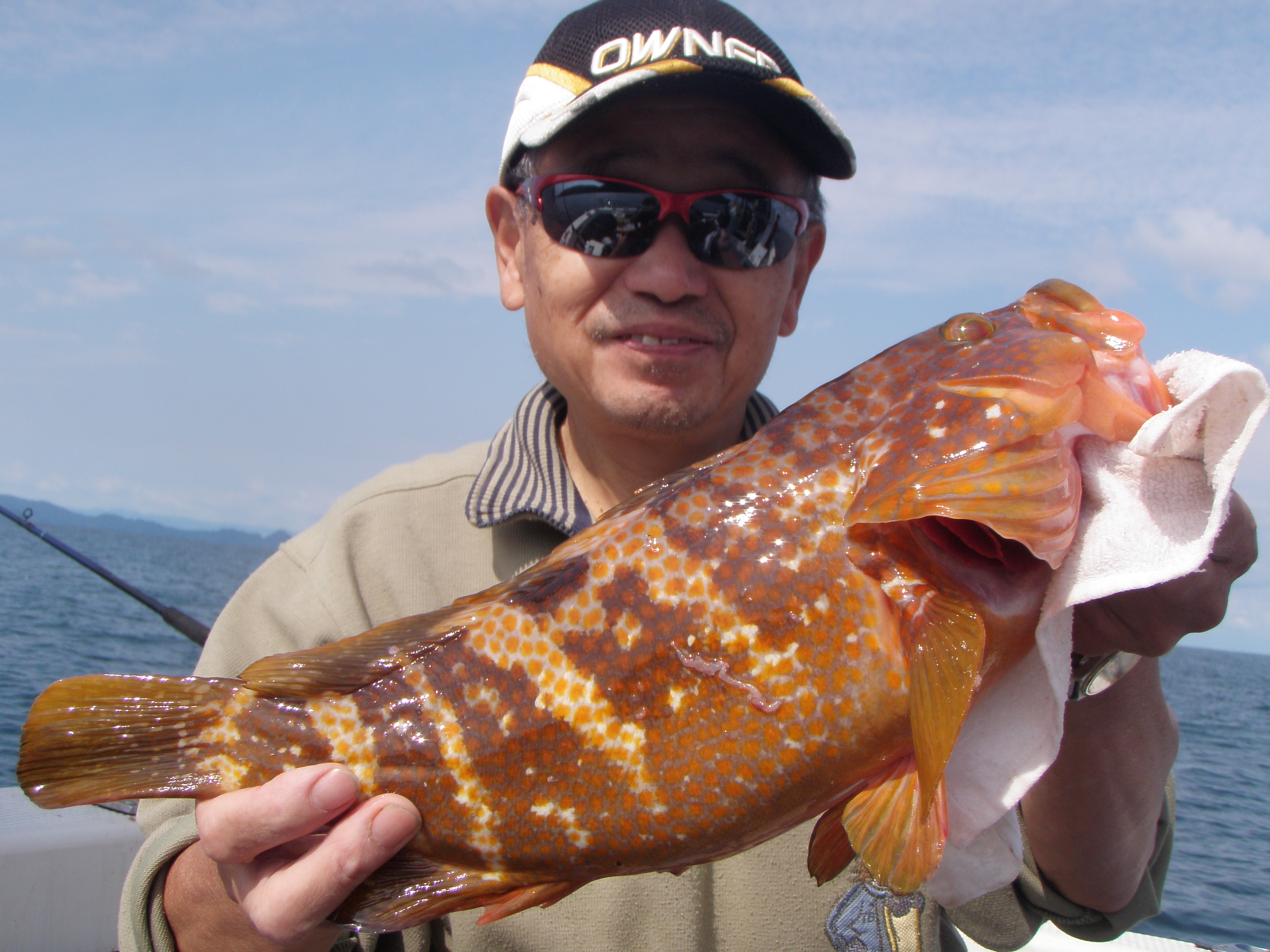若狭の船のアコウ釣り 京都嵐山のグルメ処 おばんざい割烹【菜の介】