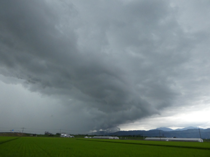 雲の百科