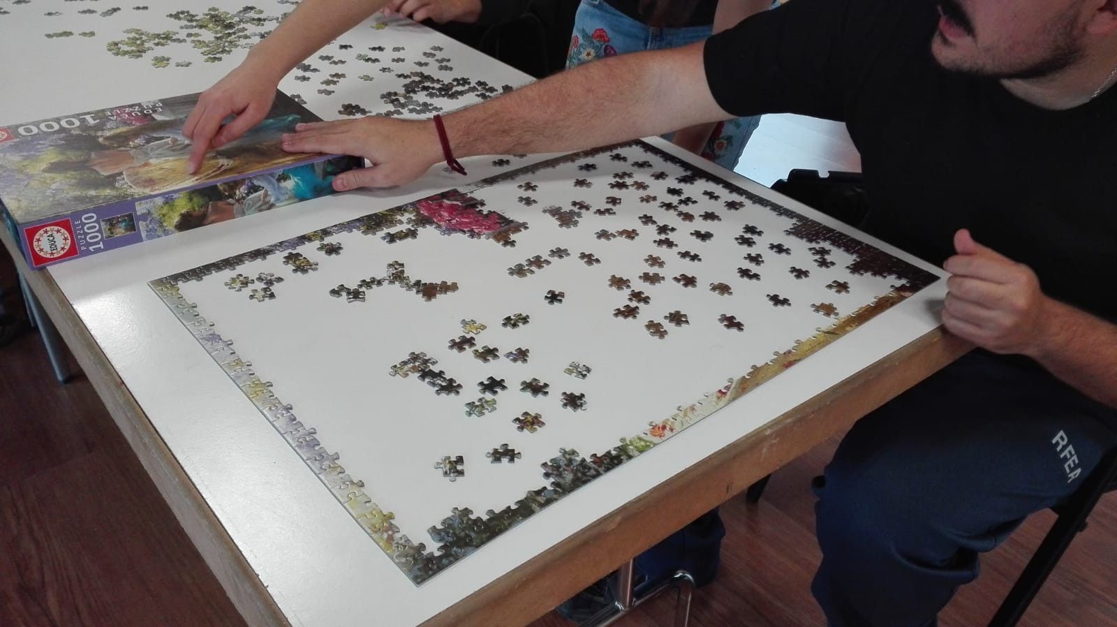 Concurso de puzzles de la Diputación