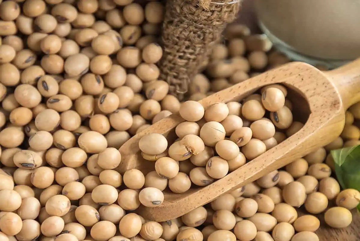 Product & Services Salcol UK Limited