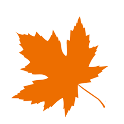 Salisbury Fall Festival 2022