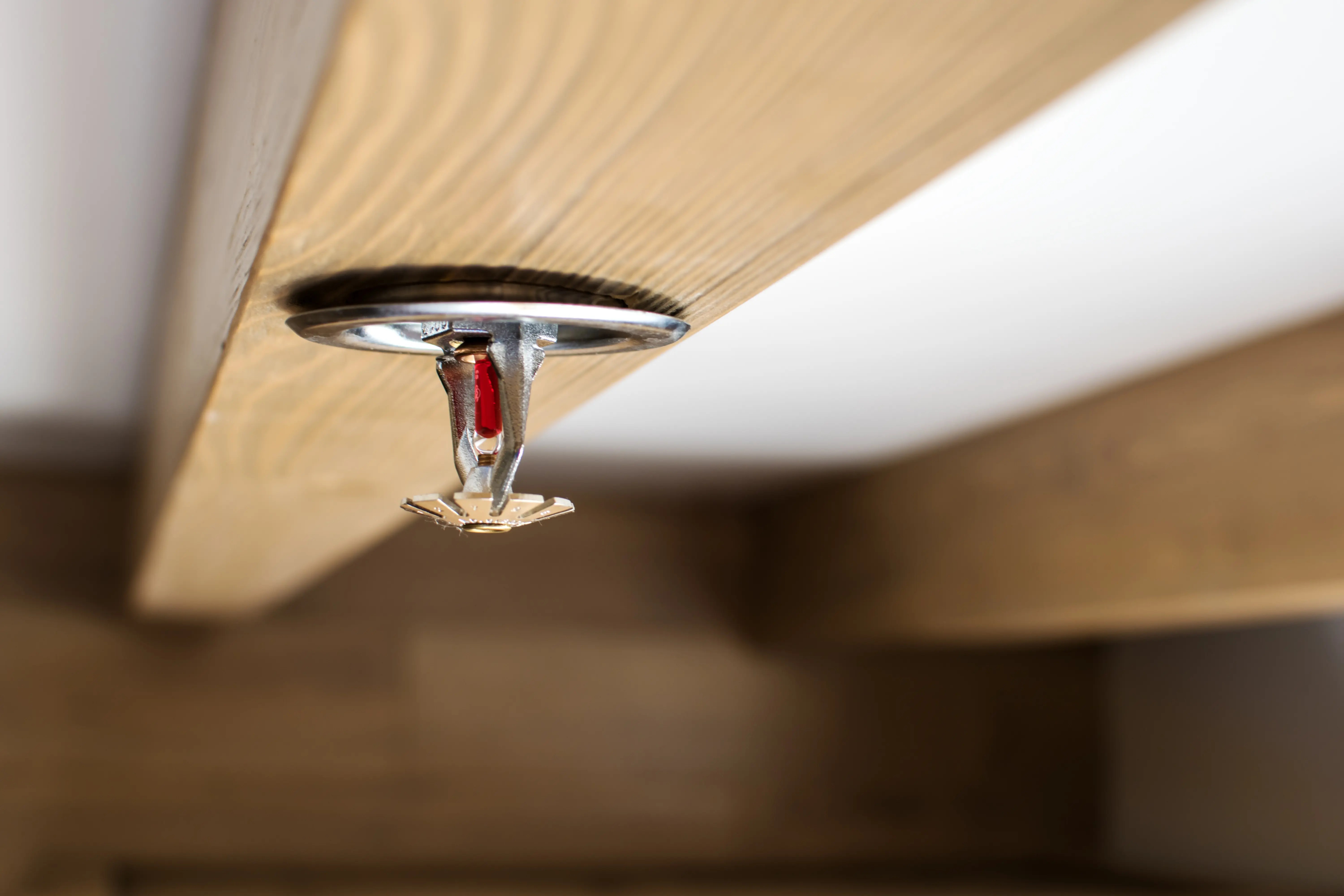 automatic head fire sprinkler extinguisher on white ceiling light