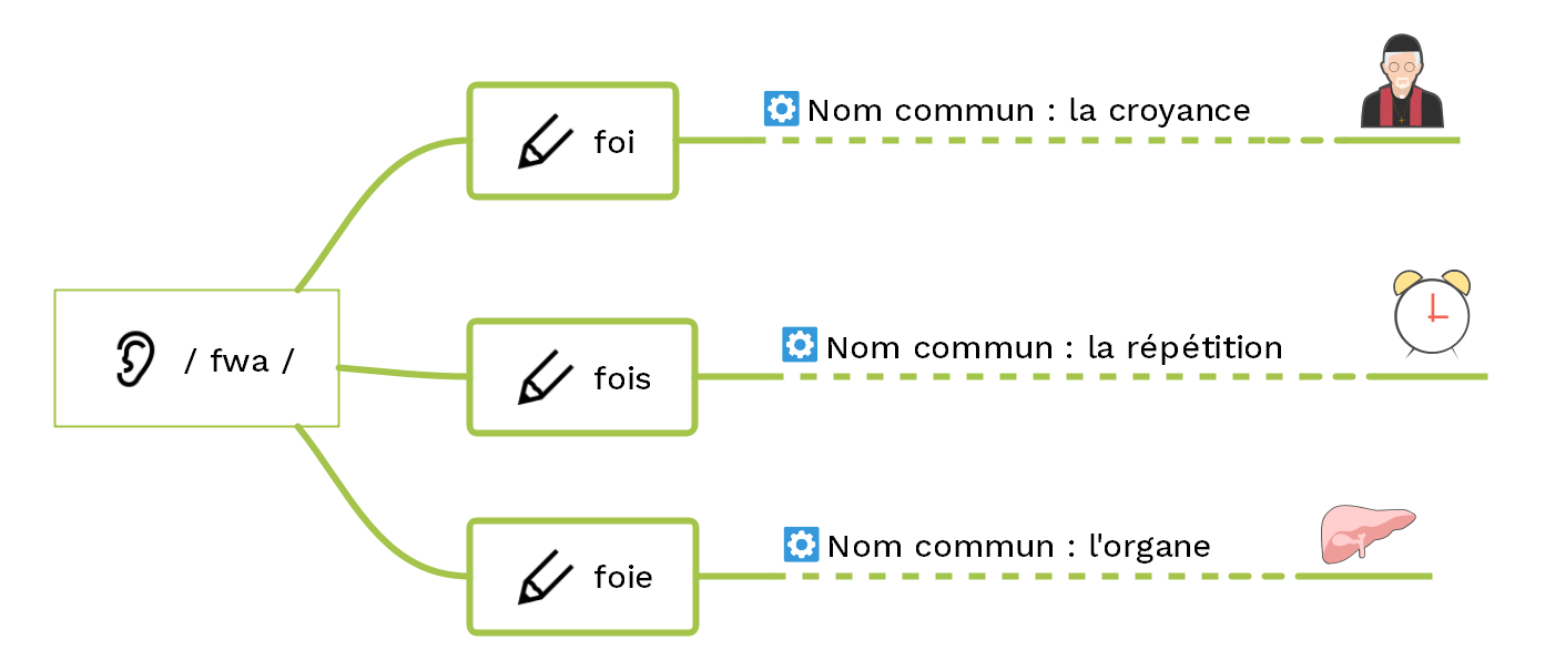 Foi, foie ou fois ? Distinguer des homophones Cours2français 🙂