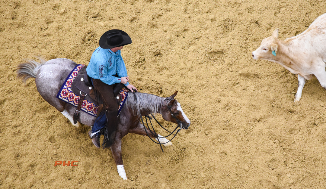 Cutting Horse Sale continues offthechart results for 2021 NCHA Futurity Sales