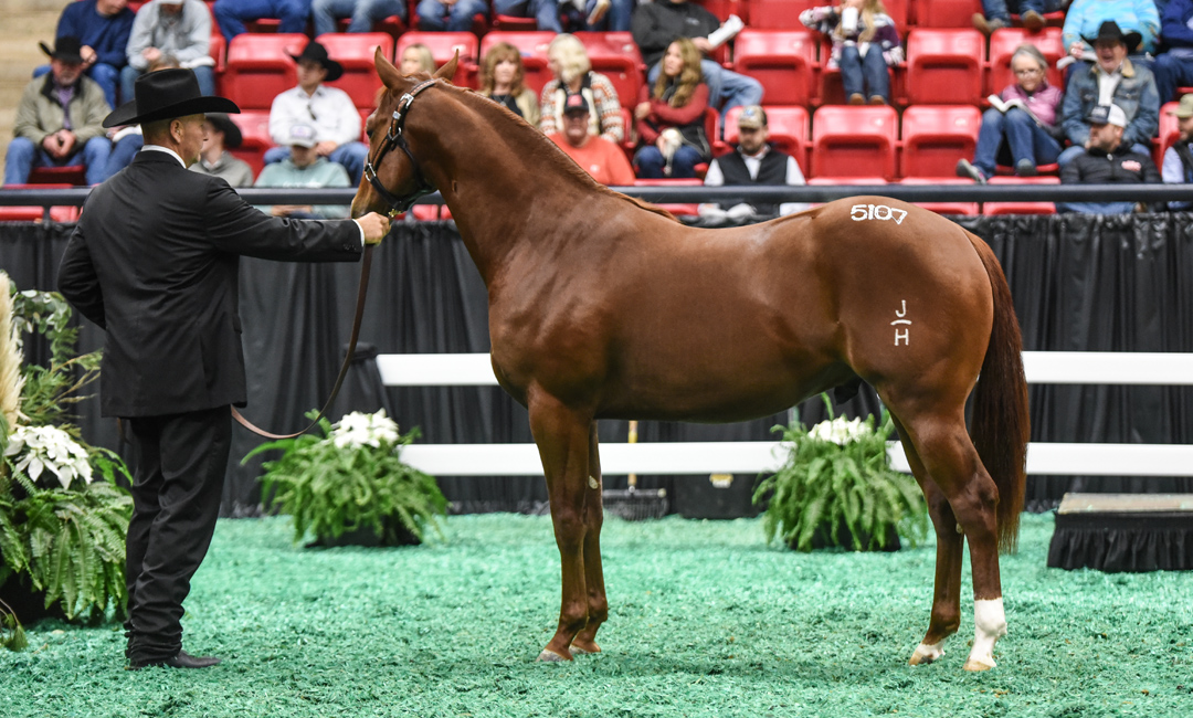 2022 NCHA Futurity Preferred Breeders Sale Session I