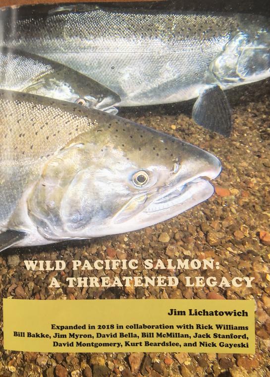 Salmon History