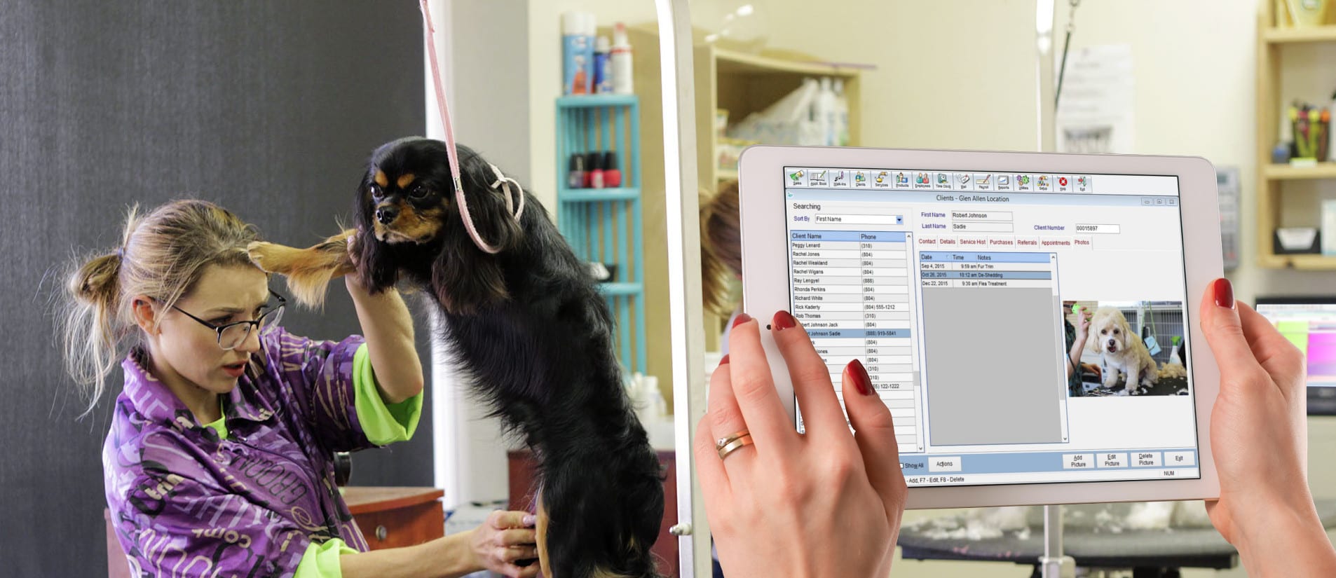 Pet Services Insight Management Software