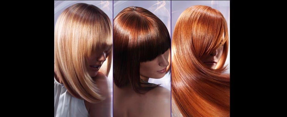 Florida Online Cosmetology Complete Your Cosmetology License.