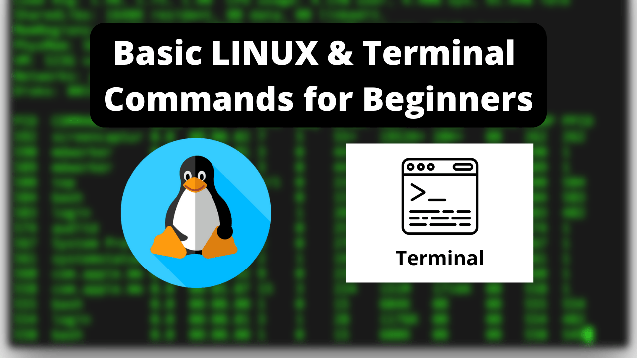 Basic LINUX & Terminal Commands for Beginners Salow Studios