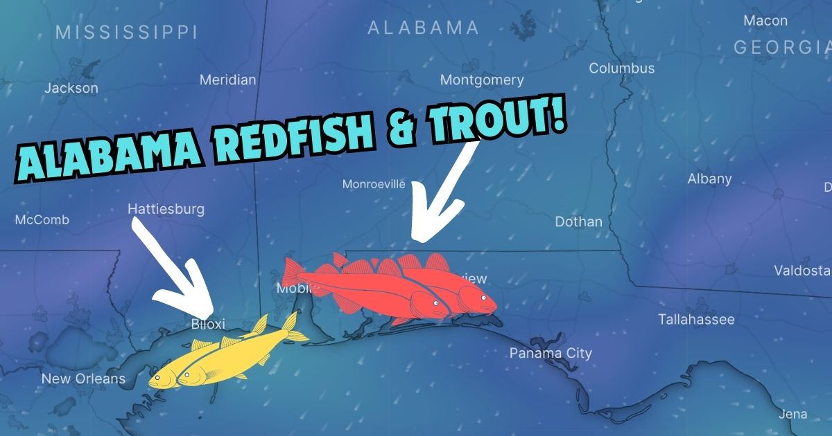Speckled Trout and Alabama Bull Reds with Reel Gypsy Fishing