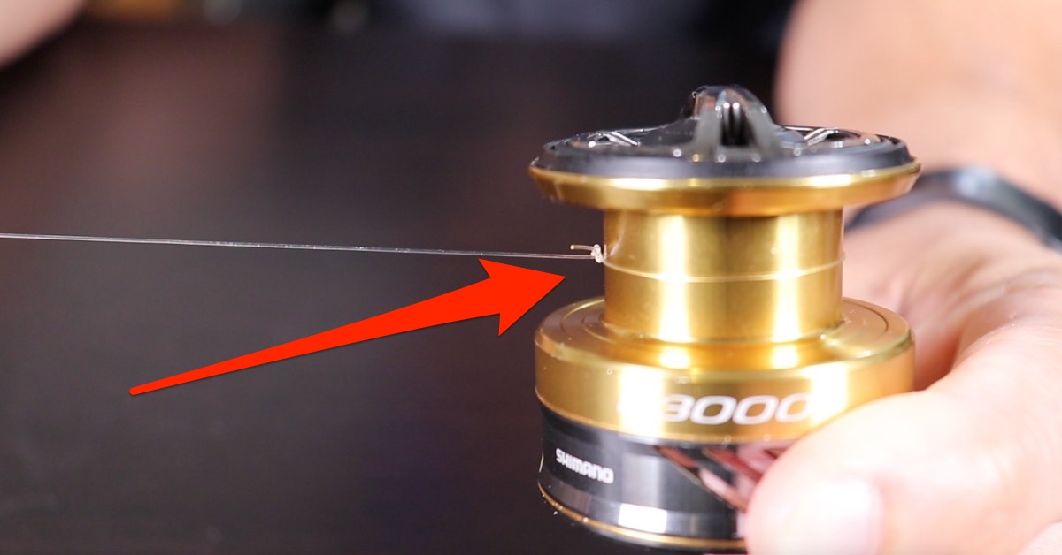 How To Tie The Arbor Knot In 5 Simple Steps [Video]