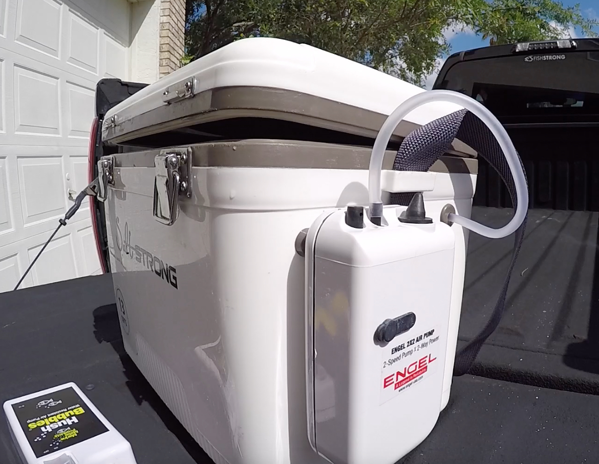 How To Best Store Live Bait While Kayak Or Shore Fishing [VIDEO]