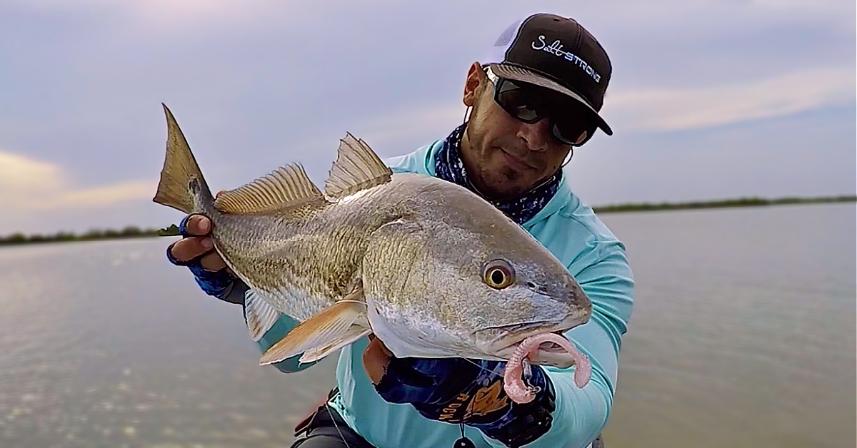 The Best Summer Lures For Redfish, Trout, Snook, & Flounder
