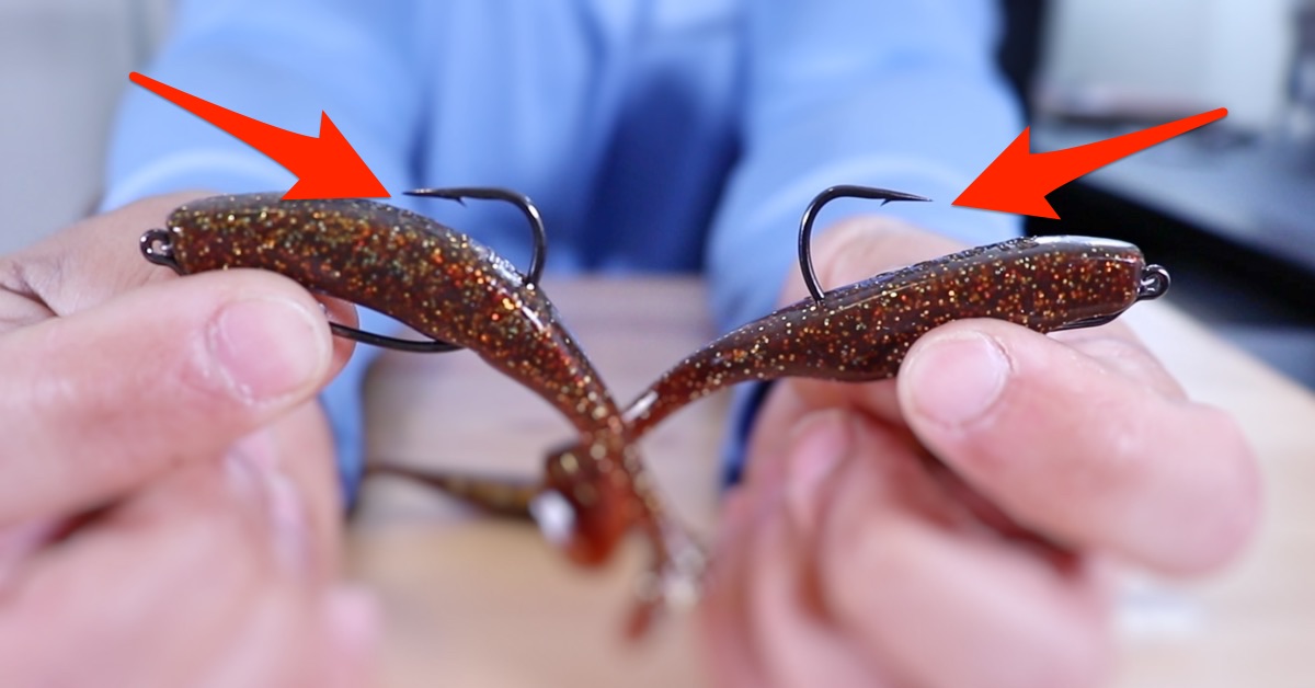 What Is A Paddle Tail at Adam Guerrero blog