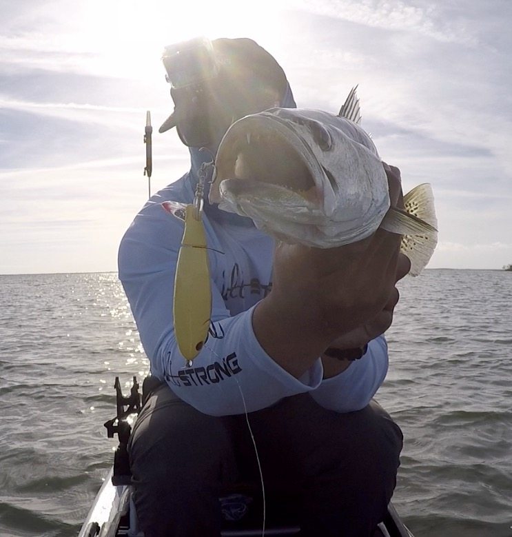 20 Tips That Will Increase Your Success With Topwater Lures [VIDEO]