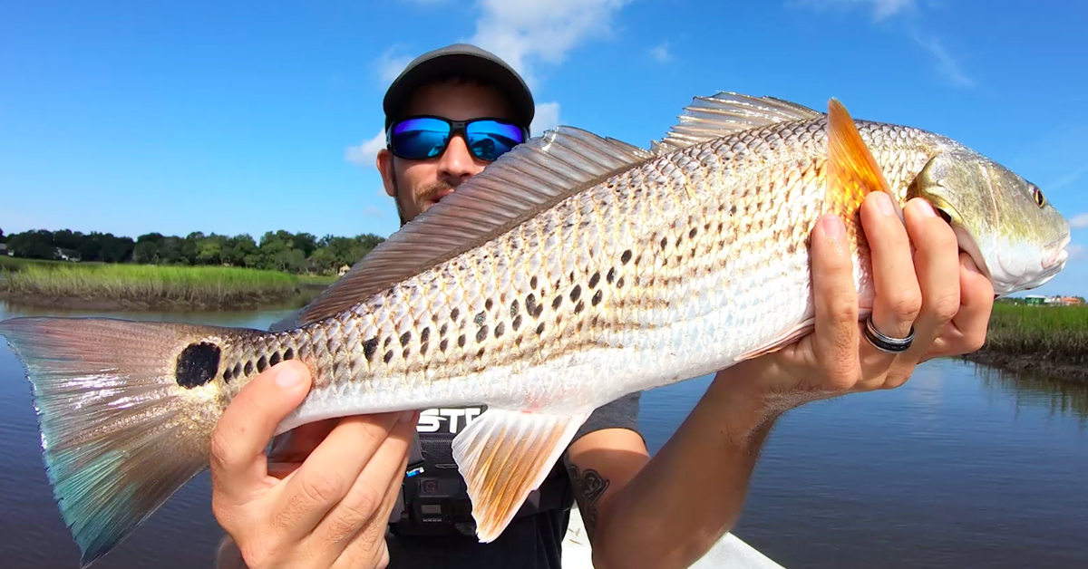 How To Catch Redfish With Cut Blue Crabs (Both Bull & Slot Redfish)