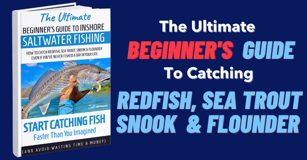 The Beginner's Guide To Inshore Saltwater Fishing