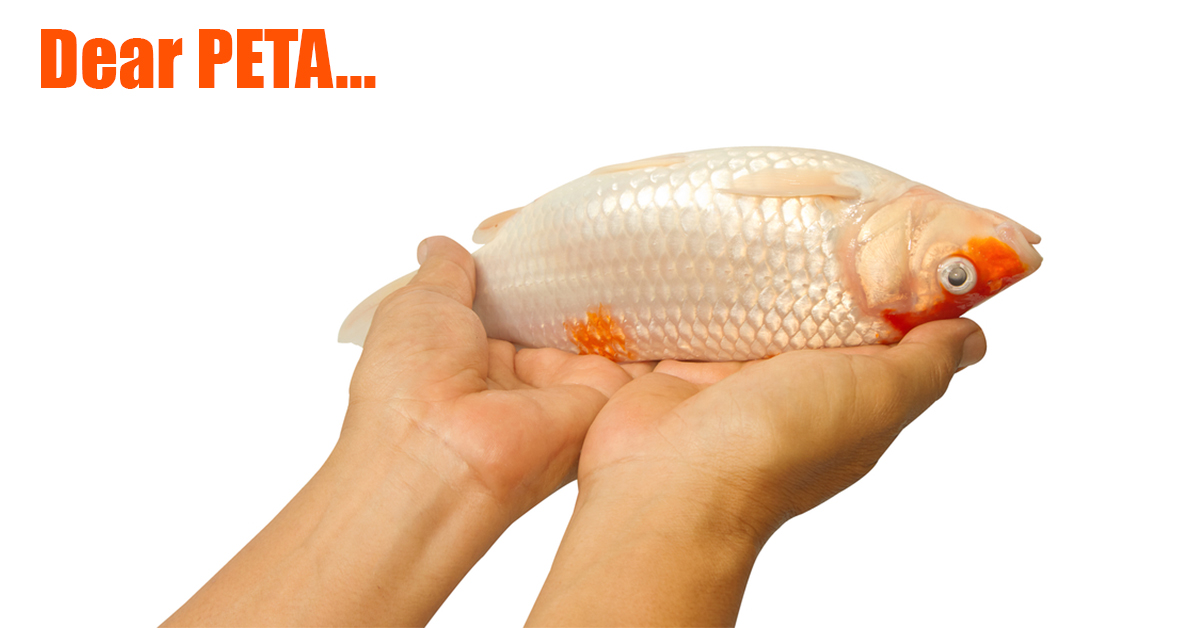 An Open Letter To PETA On Catch & Release Fishing