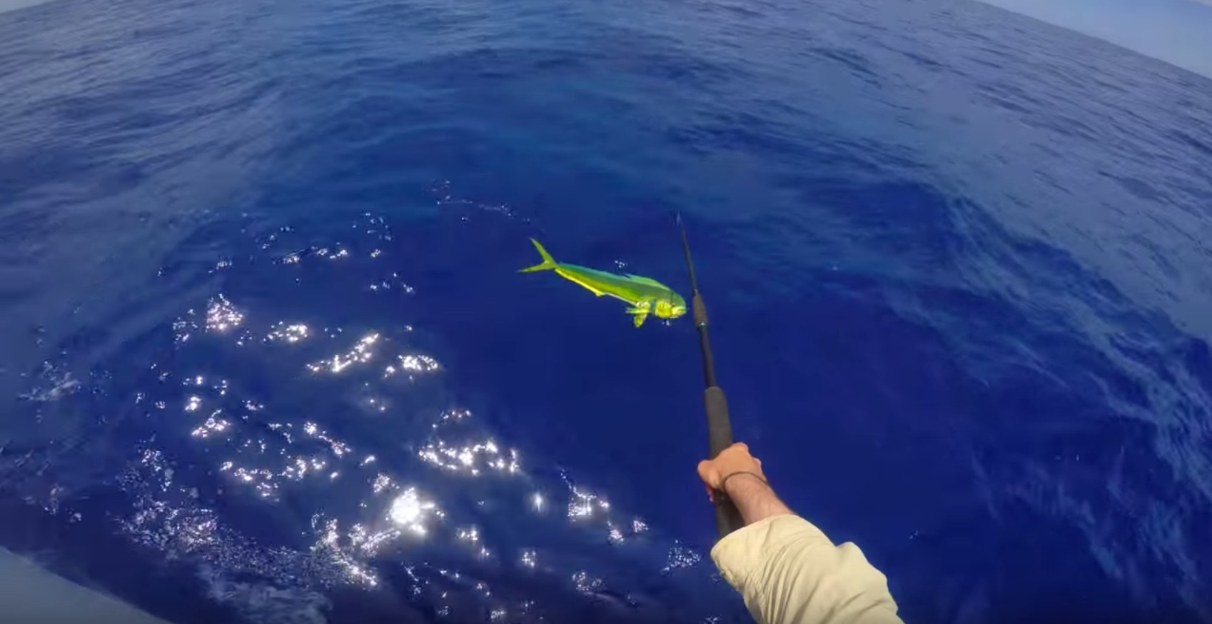 How To Gaff A Fish Like A Fishing Pro (And How NOT To Gaff A Fish) VIDEO