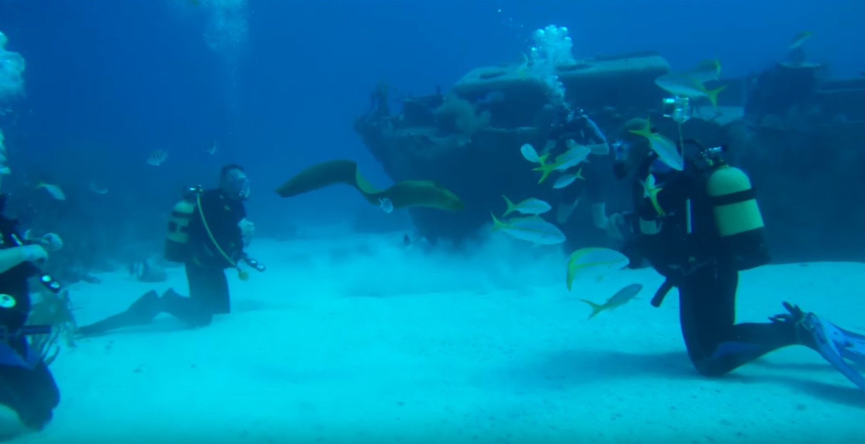Moray Eel Bites Scuba Diver In The Face On Film!