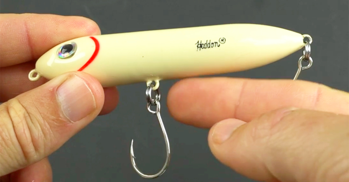 Mustad Single Inline Hooks Review (Top 3 Pros & Cons)