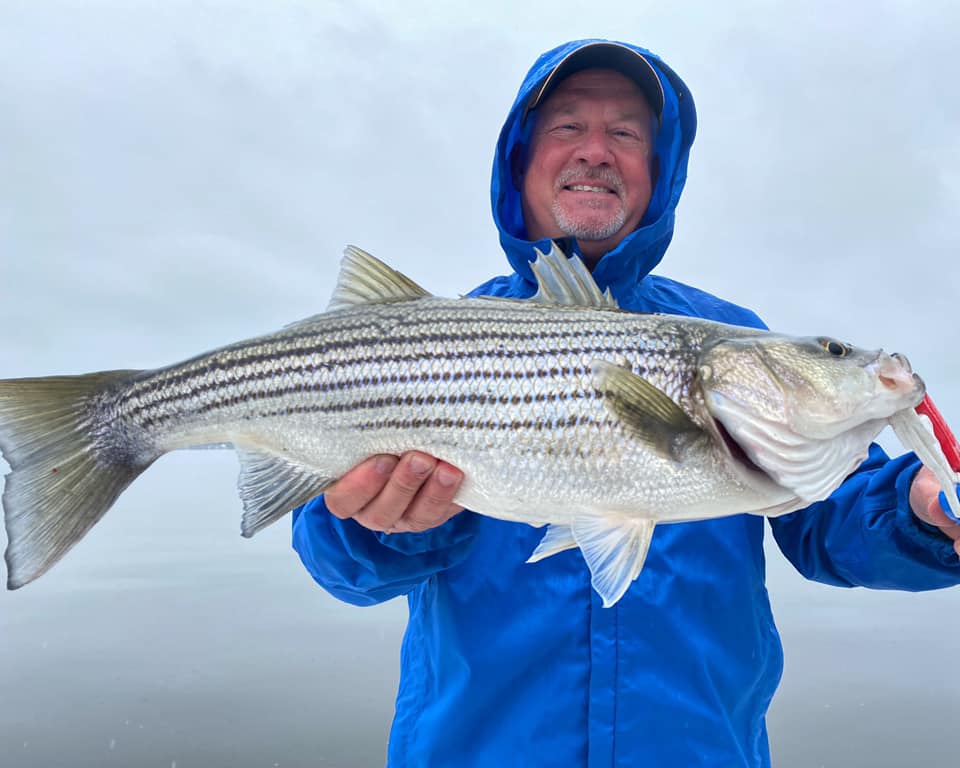 How To Catch Striped Bass In Rivers (Best Lures, Spots, Seasons & More)