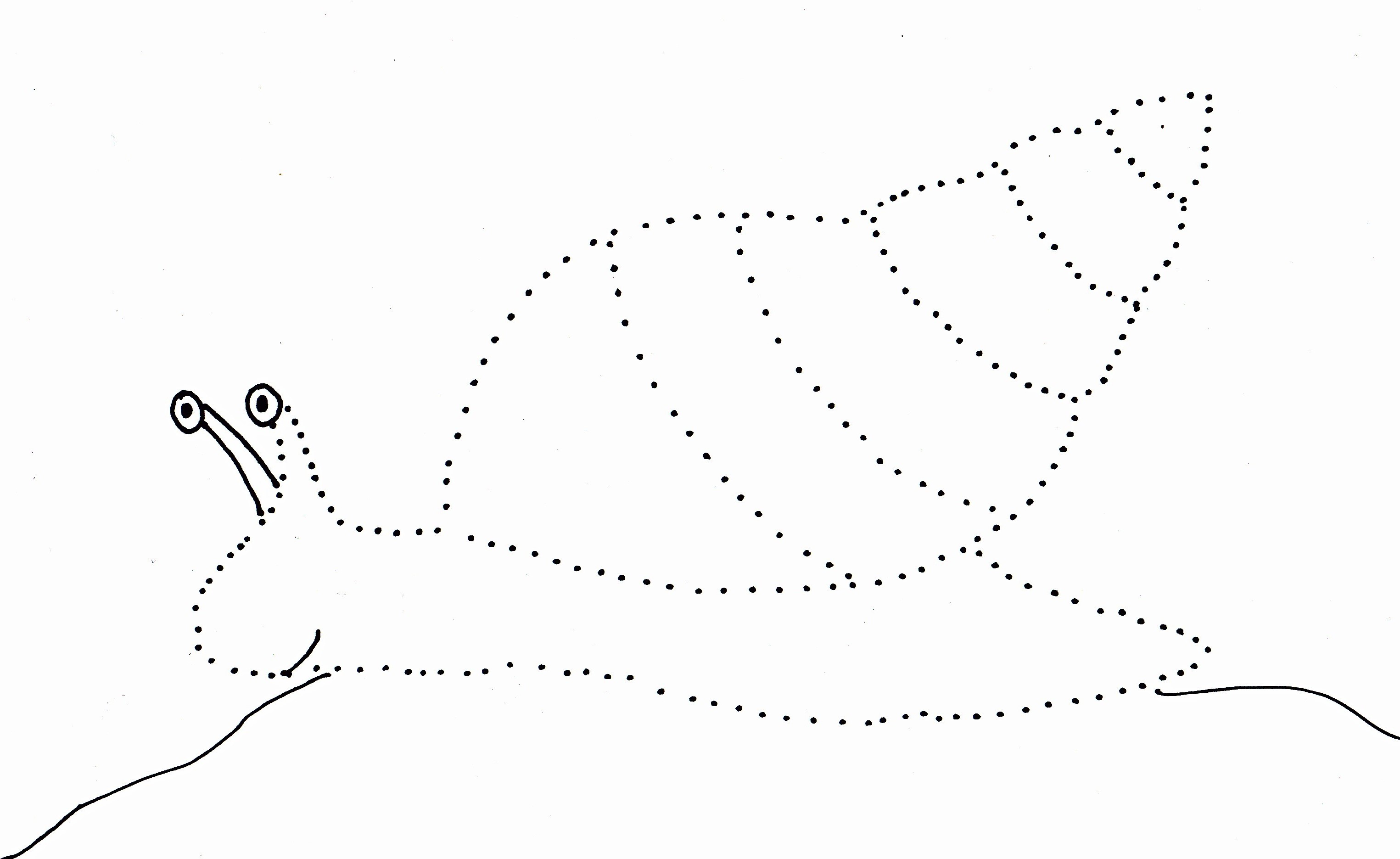 Snail Dot Drawing Art Starts