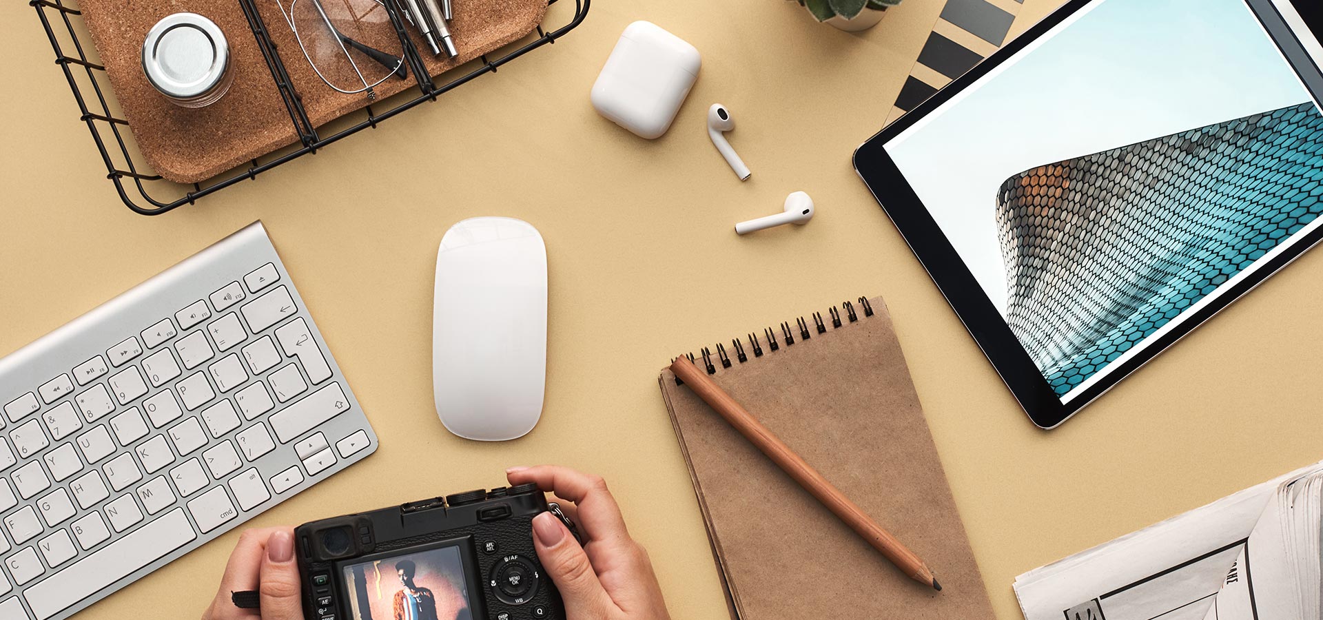 Samco Pest Commercial Pest Control South Florida