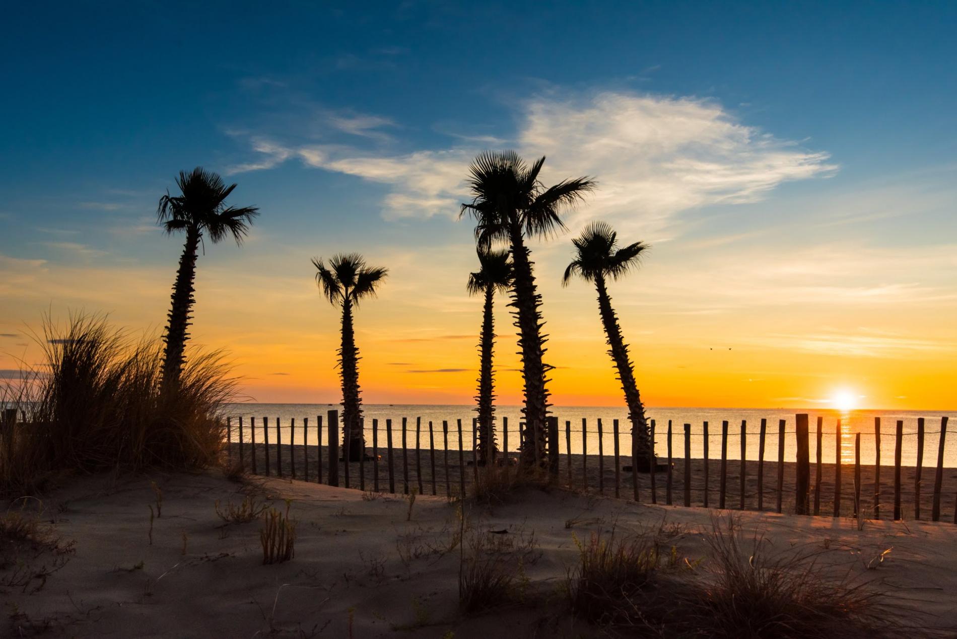 ∞ Hôtel Saint Cyprien Plage sur front de mer Mar I Sol
